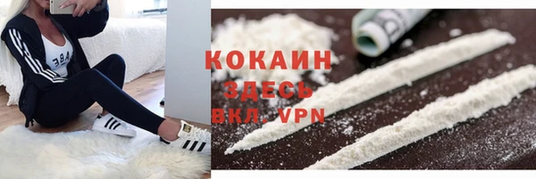 дмт Абаза